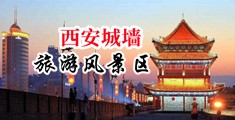大鸡吧操爆中国陕西-西安城墙旅游风景区